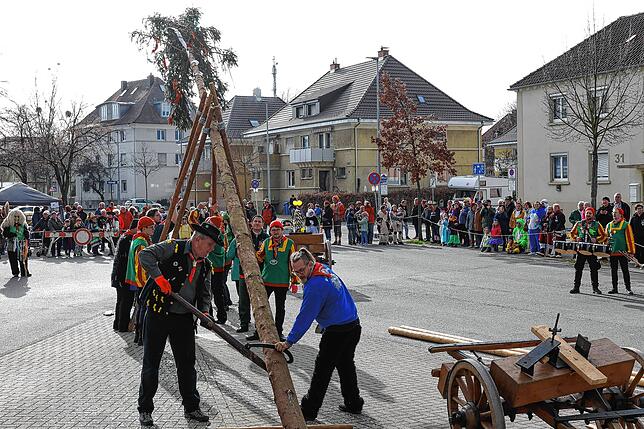 Bild 10: Bilder des Narrenbaumstellens der Froschenzunft Radolfzell