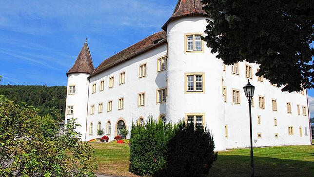 Wer neuer Immendinger Rathauschef wird, entscheidet sich bei der Bürgermeisterwahl am 12. Juli. Derzeit führt erste ...