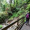 Die Wutachschlucht, im Bild der Lotenbachkamm, zieht viele Wanderer und Touristen in den Landkreis Waldshut. Viele Gäste verweilen auch ...
