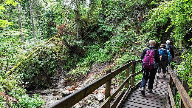 Die Wutachschlucht, im Bild der Lotenbachkamm, zieht viele Wanderer und Touristen in den Landkreis Waldshut. Viele Gäste verweilen auch ...