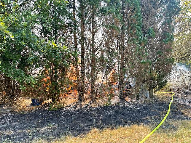 In einem Waldstück beim Bad Säckinger Ortsteil Wallbach war am Mittwochnachmittag, 20. Juli, Feuer ausgebrochen.