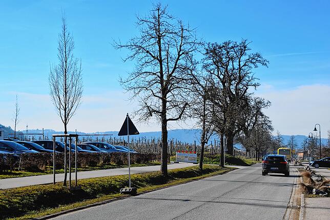 Bild 18: Reinfahren, suchen, scheitern, rausfahren: Massenweise Autos auf der Umleitung in Bodman und eine halbe Völkerwanderung vom Weilerkapellen-Parkplatz zum See