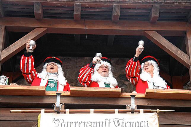 Bild 11: Petra Dorfmeister verurteilt! Die schönsten Bilder vom Tiengener Narrengericht (2)