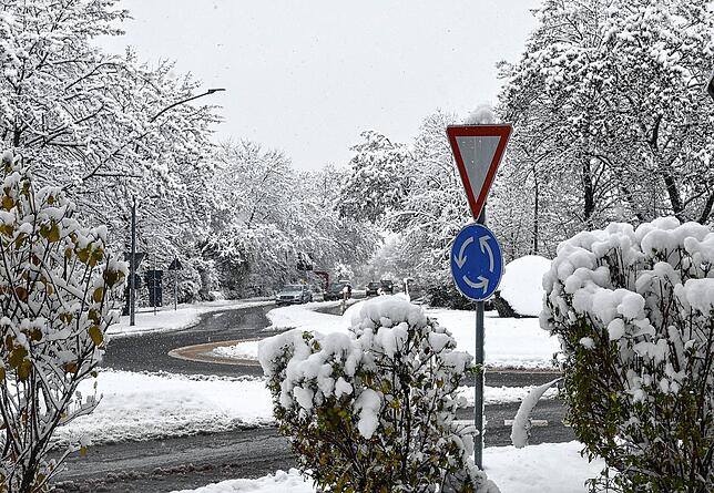 Bild 5: Die schönsten Bilder vom verschneiten Markdorf