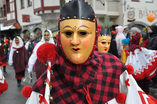 Bild 9: Diese Zünfte kommen zum großen Narrentreffen nach Bad Säckingen