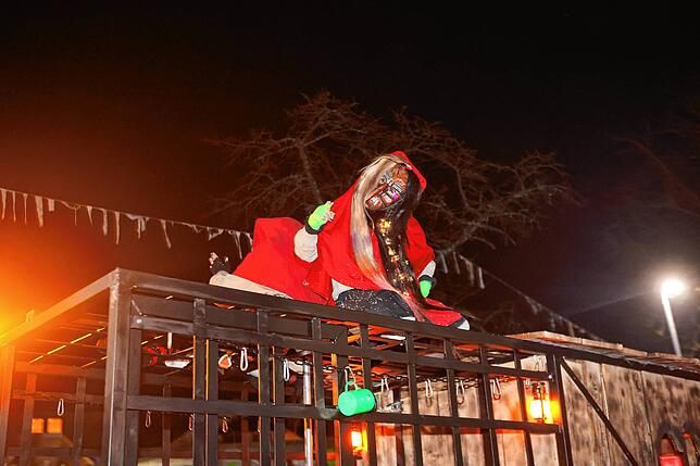 Bild 8: Nachtumzug Möggingen 2025: Fasnacht in Bildern – 30 Gruppen in voller Pracht