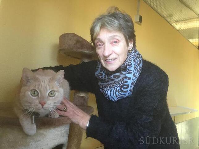 Marion Czajor im Tierheim Singen mit einer Pflegekatze. Die Angst vor Silvesterknallern verstört ihre Schützlinge zutiefst.