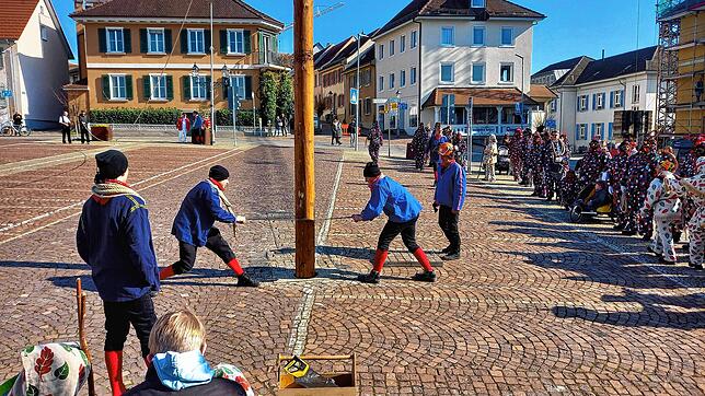 Ritsche-ratsche fährt die Säge durch den Baum. Um kurz nach 14 Uhr stürzte das Narrensymbol auf den Marktplatz.