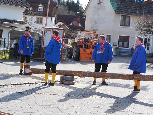 Komplexes Ritual: Das traditionelle Narrenbaumstellen in Altenburg.