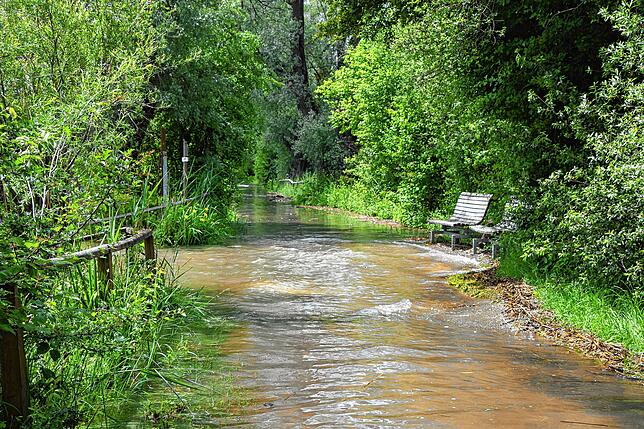 Der Weg im Naturschutzgebiet zwischen Bodman und Ludwigshafen war im Juli 2019 teilweise überschwemmt.