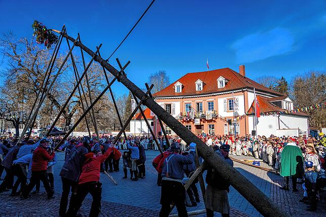 Bild 12: So wird der Narrenbaum am Samstag beim Narrentreffen in Bad Dürrheim aufgestellt!