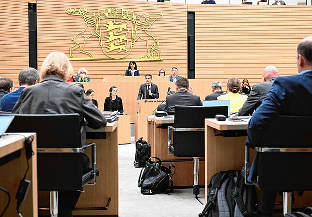 Passen künftig noch alle Abgeordneten in den Plenarsaal? Mit dem neuen Wahlrecht könnte der Landtag auf XXL-Größe anwachsen.
