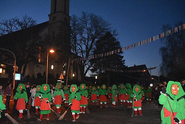 Bild 48: Narrentreffen der Urviecher-Zunft: Bilder vom Eröffnungsumzug (2)