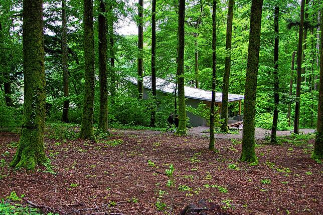 Blick in den im Mai 2019 eröffneten Bestattungswald Lienheim. Im Hintergrund ist der für Trauerfeiern errichtete Pavillon zu sehen.