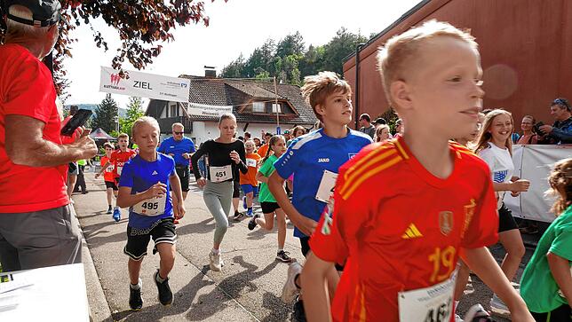 Bild 30: 13. Klettgau-Lauf in Weisweil – Teil 1