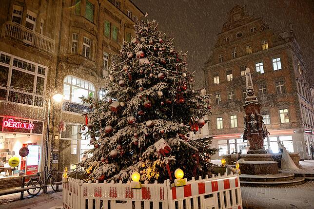 Bild 7: Hallo Winter! Die schönsten Bilder aus dem schneebedeckten Konstanz