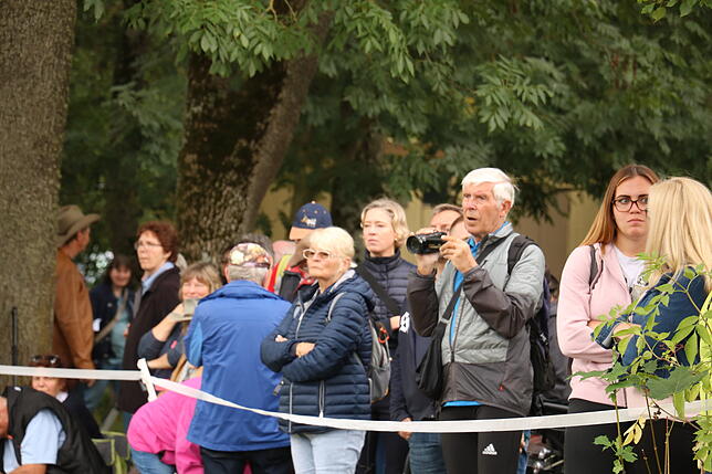 Bild 22: Bilder vom Marathon der Vierspänner beim Reitturnier in Donaueschingen