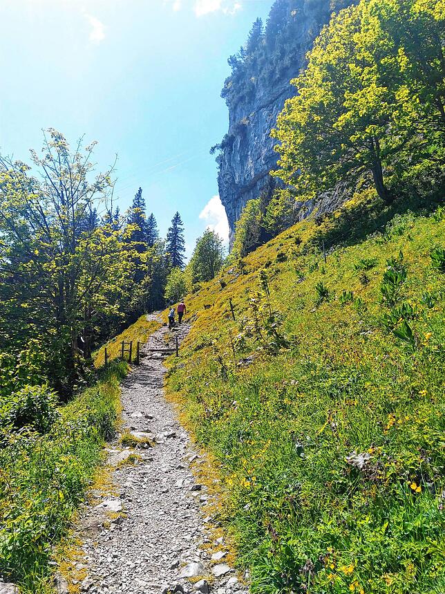 Bild 8: Normalerweise überrennen Touristen das Berggasthaus Aescher, doch wie sieht es dort jetzt aus? Wir nehmen Sie mit auf eine Wanderung
