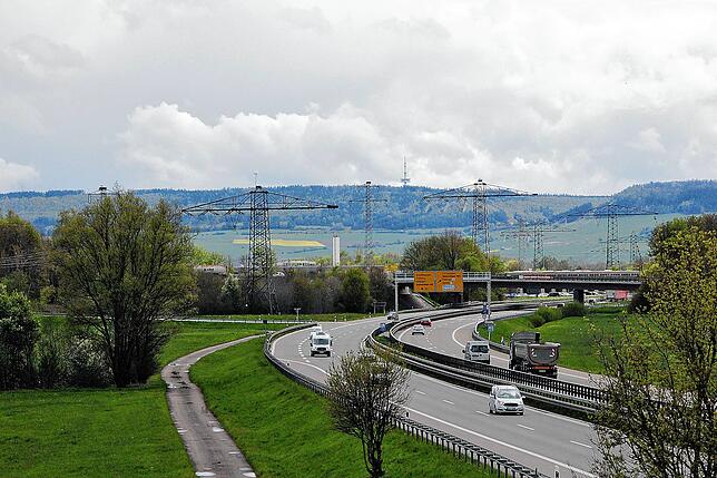 Der Verkehrslärm macht den Tieren offenbar wenig aus.