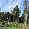 Der Wald als Klimaopfer, so gesehen bei Ühlingen-Birkendorf, wo sich die derzeitigen Probleme konzentrieren. Der Schutz des Waldes ist ...