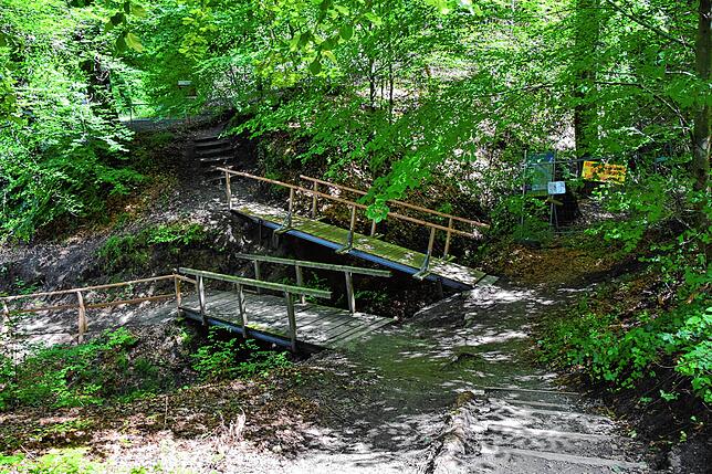 Der Blick vom Grillplatz zu den Wegen. Nach links geht es zum Anlegesteg, über die Brücke nach oben Richtung Wallhausen und rechts ist ...