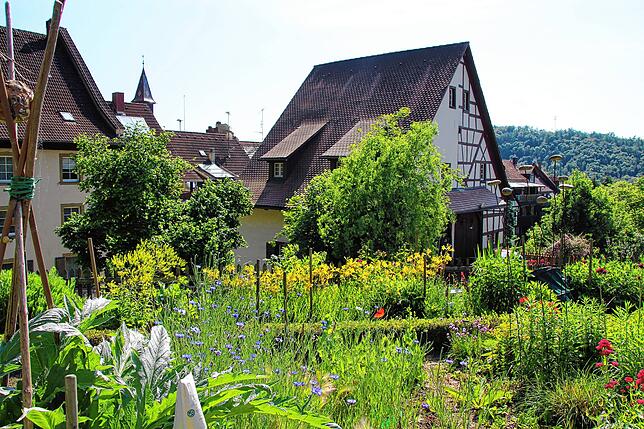 In der Hauptversammlung des Schwarzwaldvereins Stühlingen gab es Rückblick und Ausblick über die vielfältigen Angebote in der ...