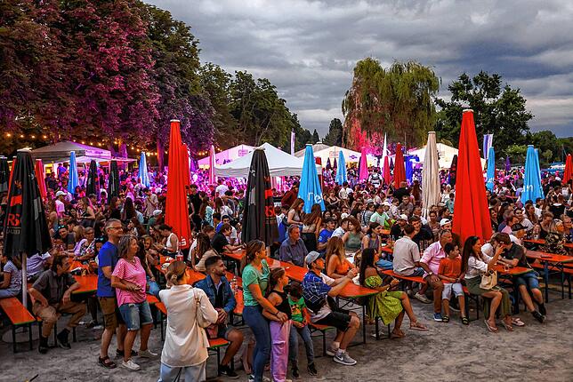 Bild 15: Die schönsten Bilder vom Hausherrenfest in Radolfzell!