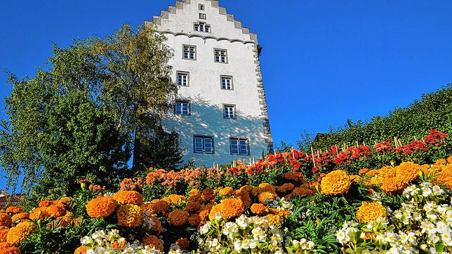 Was wird aus dem Bischofschloss? Die ersten Investorenanfragen der Stadt verliefen ernüchternd. Nun soll ein Konzept mit konkreten ...