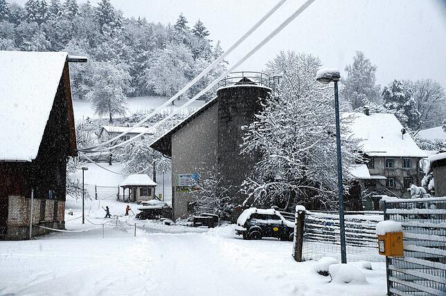 Bild 41: Schnee wohin das Auge reicht! So sieht es gerade im Raum Stockach aus