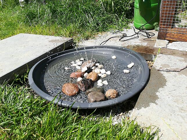 Ein selbst gebauter Springbrunnen im Garten dient als Tränke für Vögel und Insekten. Wichtig ist, dass das Wasser in Bewegung gehalten ...