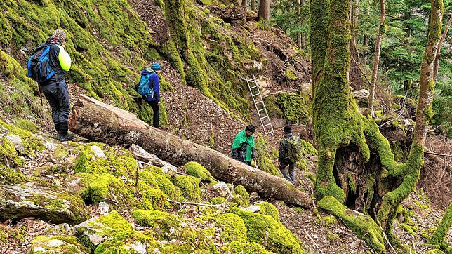 Private Suchaktion: Nach wie vor wird regelmäßig nach der seit September 2020 vermissten Wanderin Scarlett S. gesucht. Hierbei ist ...