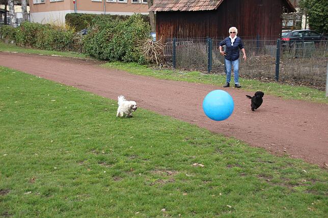 Snoopy (links), Frauchen Sonja Mansfeldt und Sheela in Aktion auf dem Seesportplatz. Sie beweisen: Nicht nur Menschen kommen zum ...