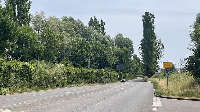 (Archivbild) Hier, auf der Grenzbachstraße, haben Unbekannte am Montagabend, 12. Mai, eine mobile Blitzeranlage beschädigt.