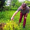 Im Garten von Margot und Roland Spohn spiegelt sich ihre Leidenschaft für Wildpflanzen wieder. &bdquo;Garten heißt für uns: Wir sind für ...