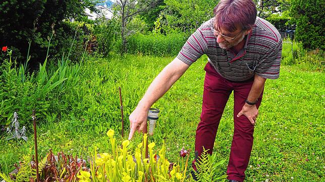Im Garten von Margot und Roland Spohn spiegelt sich ihre Leidenschaft für Wildpflanzen wieder. &bdquo;Garten heißt für uns: Wir sind für ...