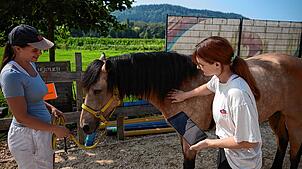 Bild : Bilder vom Tiertherapie und Naturvielfalt in Rielasingen-Worblingen