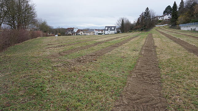 Auf der 1,6 Hektar großen grünen Wiese an der Teuringer Straße soll das Neubaugebiet Ittenhausen Nord entstehen. Vor Frühjahr 2021 wird ...