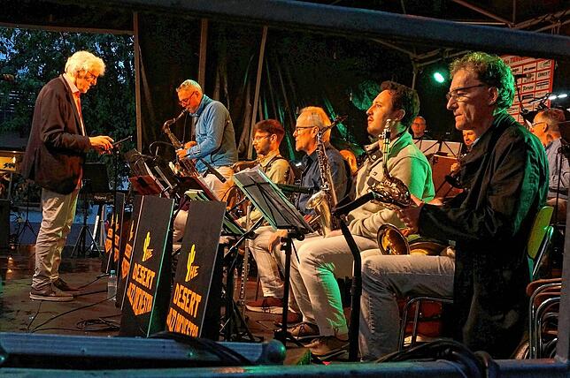 Bild 4: Hier sind die besten Bilder vom Jazzfest in Tiengen