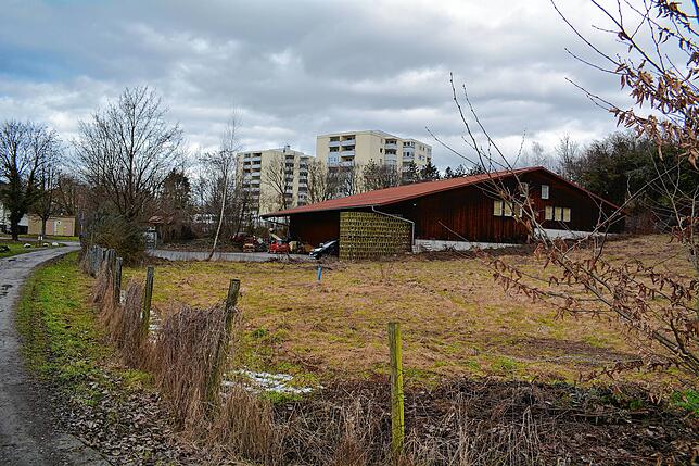 Auf diesem Gelände an der Mesmerstraße, auf dem bisher nur eine Lagerhalle steht, will der Winzerverein seine neue Kelterei bauen. Im ...
