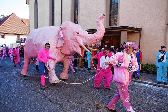 Ein eindrucksvolles Bild bieten beim Umzug in Vöhrenbach 2023 die Schinzele Maube mit ihrem „Rosa Mendig“ und einer Vielzahl ...
