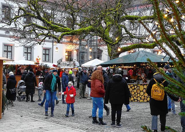 Der Schlosshof mit der mächtigen Kastanie bildet eine großartige Kulisse.