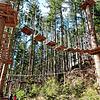 Der Ort des Abenteuers. In den Osterferien öffnet der Kletterwald wieder für Besucher.