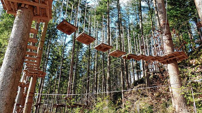 Der Ort des Abenteuers. In den Osterferien öffnet der Kletterwald wieder für Besucher.