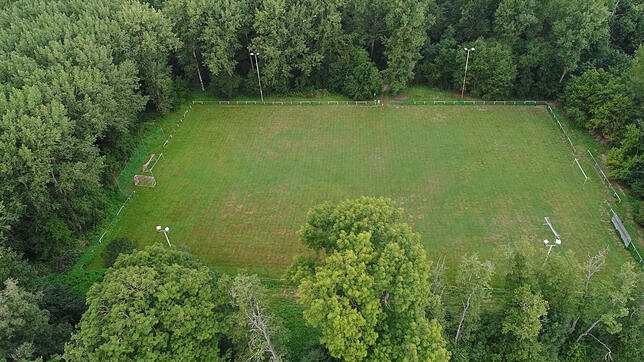 Der alte FC-Platz im Herzen des Schlossparks. Bild: Roger Müller