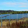 Freiflächen-Photovoltaikanlagen im Solarpark Hänner. Auch in der Nachbargemeinde Rickenbach soll bei Hütten eine ähnliche Anlage entstehen.