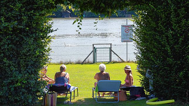 Ab Mittwoch, 24. Juni, können sich Badegäste wieder im Rheinschwimmbad in Schwörstadt sonnen.
