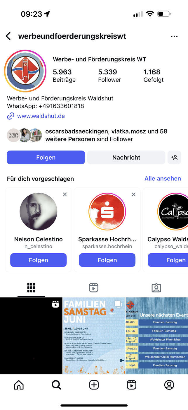 Die Startseite des Waldshuter Werbe- und Förderungskreises auf Instagram (Screenshot).