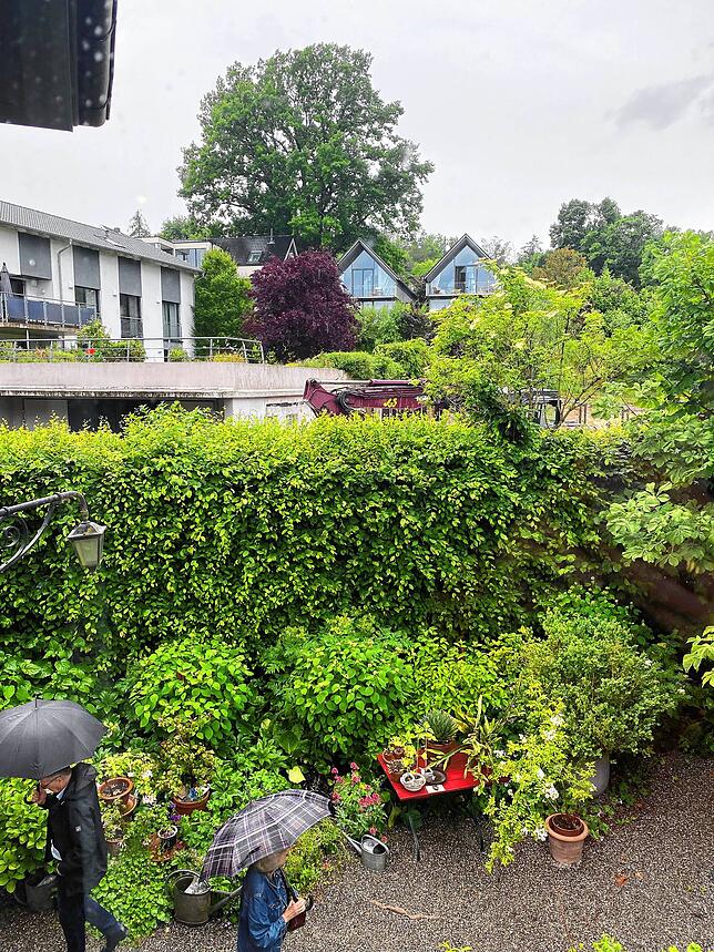 Es geht um diesen Ausblick: Hier soll der Neubau aus dem Treppenhaus des Hesse-Hauses zu sehen sein. Diesen Eingriff in die Umgebung ...