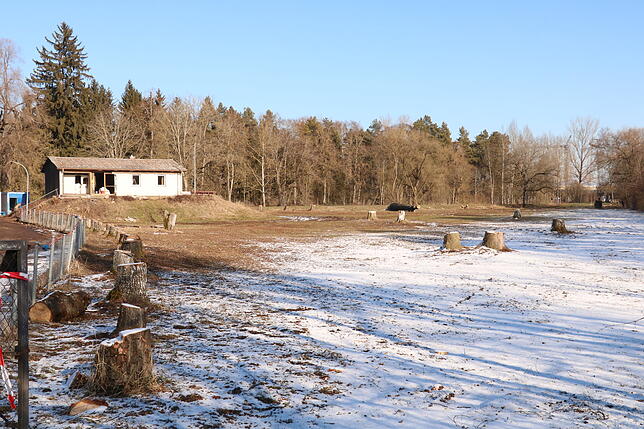 Der Baumbestand auf dem früheren Gelände des Vereins der Hundesportvereine ist in großen Teilen schon gerodet. Das Gebäude wird in der ...