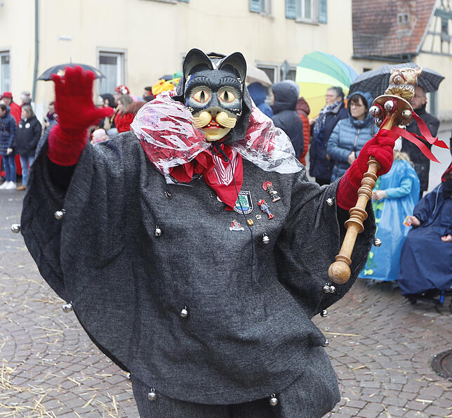 Bild 2: Bilder vom Kinderumzug in Donaueschingen-Pfohren